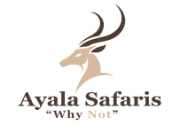 Ayala Safaris